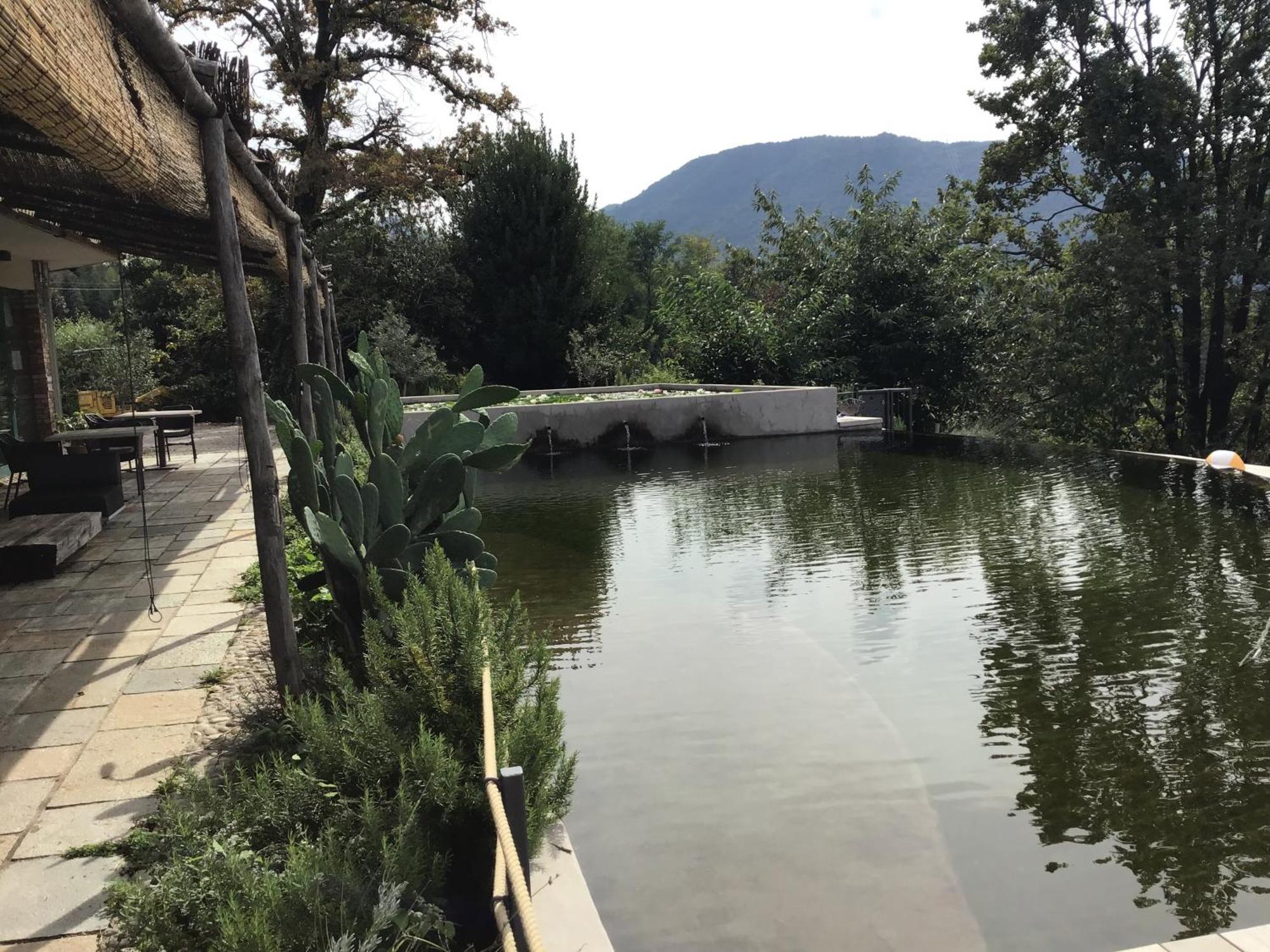 Agriturismo Voeuja Lago Maggiore Luino Eksteriør billede